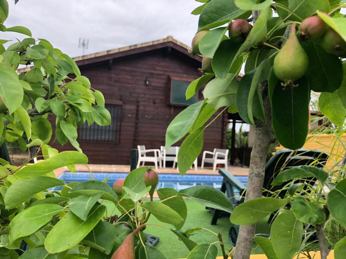 Casa De Madera El Oasis El Palomar Villa Sevilla Dış mekan fotoğraf